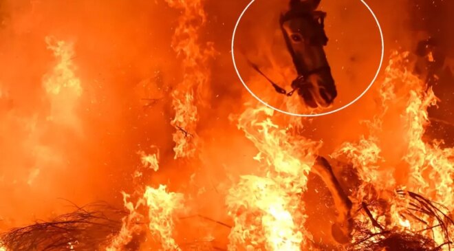 Film sahnesi değil gerçek: Atlar, alevlerin arasından böyle geçti