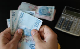 Hazine destekli tarım ve esnaf kredilerine düzenleme