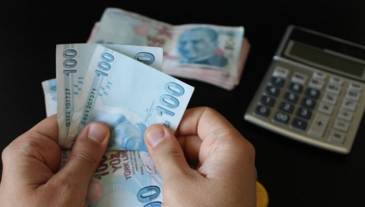 Hazine destekli tarım ve esnaf kredilerine düzenleme