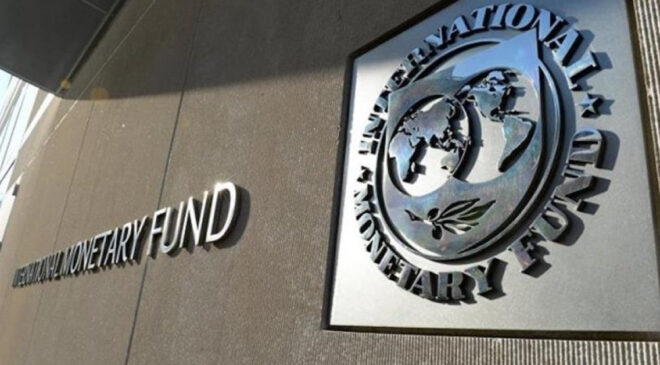 IMF’den Türkiye’nin dezenflasyon programına övgü