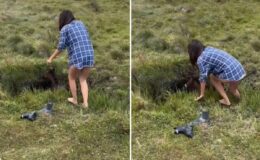 "Dünyayı sevgi kurtaracak" dedirten görüntü