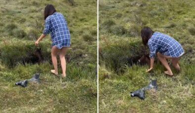 "Dünyayı sevgi kurtaracak" dedirten görüntü