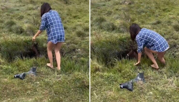 "Dünyayı sevgi kurtaracak" dedirten görüntü