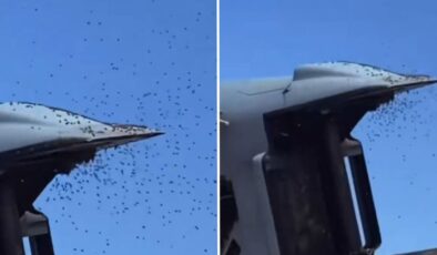 İsrail’de "Sarı alarm": Tarihin en büyük arı istilası askeri uçuşları durdurdu