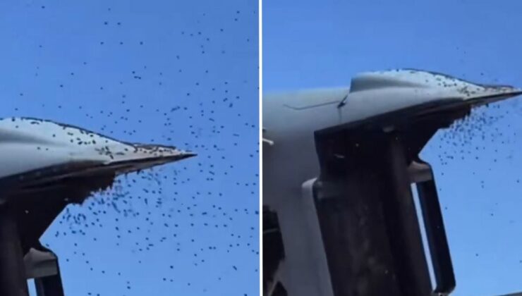 İsrail’de "Sarı alarm": Tarihin en büyük arı istilası askeri uçuşları durdurdu