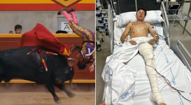 Boğanın hedefi olan genç matador ölümle pençeleşiyor