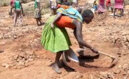 Kenya’da keçisini ararken altın buldu! Kazma küreği kapan bölgeye akın etti