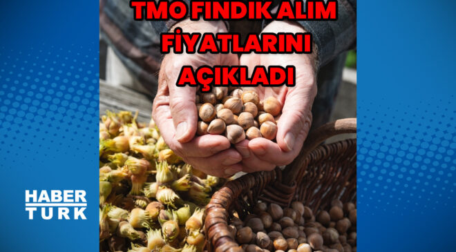 TMO 2026- 2027 fındık alım fiyatlarını açıkladı