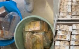 Ev değil banka! Duvarlardan, fayansların altından milyonlarca Euro çıktı