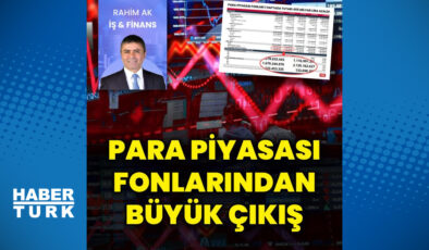 Para piyasası fonlarından yarım trilyonluk kaçış