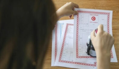 Usulsüz vatandaşlık soruşturmasında ikinci dalga