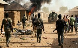 Nijerya’nın Borno eyaletinde Boko Haram saldırısında 20 çiftçi yaşamını yitirdi
