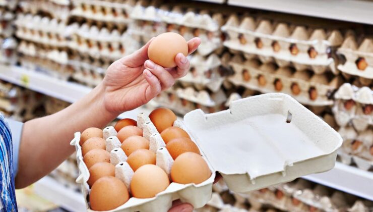 Ukrayna’dan gelen yumurtalarda salmonella alarmı! Raflardan toplatılıyor